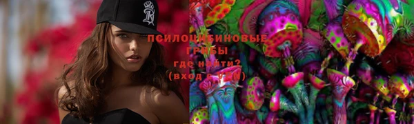 Альфа ПВП Абдулино