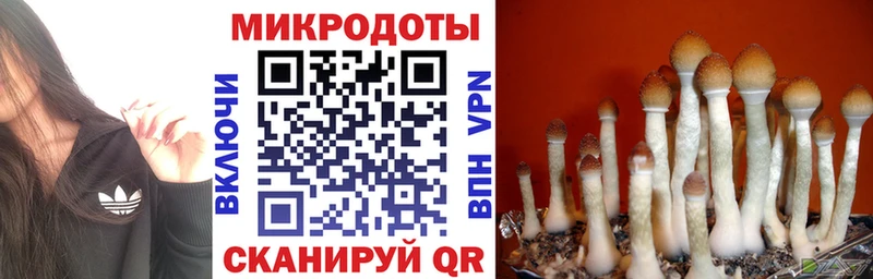Псилоцибиновые грибы прущие грибы  Яровое 